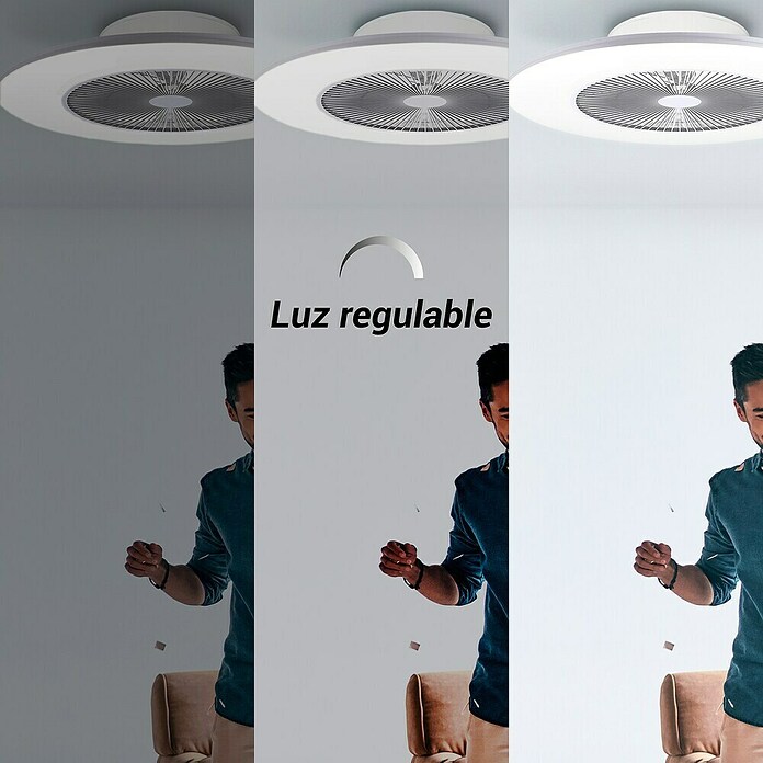 12-1053.jpg - rfflinkfirewood.com